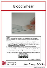 clinical skills instruction booklet cover page, lab blood smear